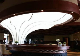 南京鑫利软膜天花装饰工程网 品牌供应商价格走势与装饰工程设计解析
